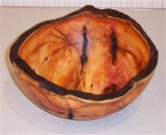 Tony's winning large natural edge bowl